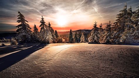 Mountain With Snow Covered Trees During Sunrise Hd Winter Wallpapers
