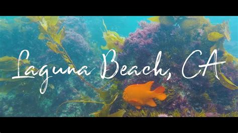 Crescent Bay Laguna Beach Snorkeling Youtube