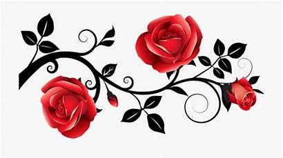 Roses Rose Clipart Vine Transparent Cartoon Clip