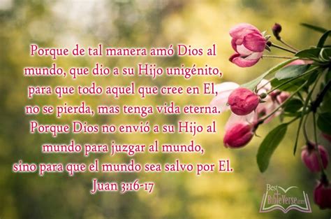 Spanish Christian Quotes Christian Bible Quotes In Spanish