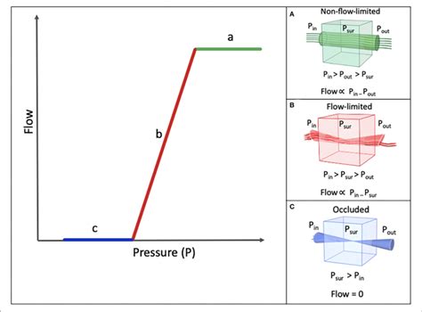 Schematic Model Of Pressure Flow Relationship P In Inflow