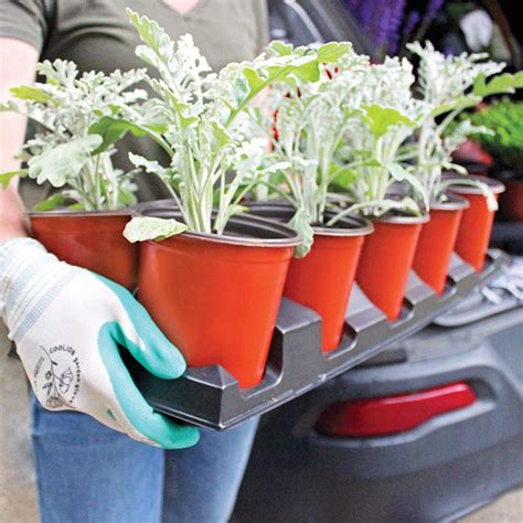 Our huge online selection of live plants will make your garden the talk of the neighborhood. 1.00 Quart Perennial Co-ex Pot w/TagSlot | Planters, Pots ...