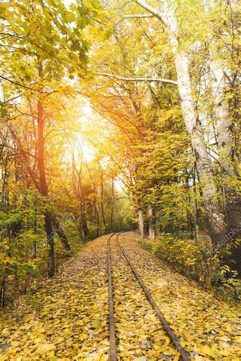 Railroad In Autumn Forest — Stock Photo © Viktoriasapata 171801796