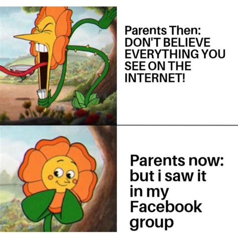 Parents Then Dont Believe Everything You See On The Internet Parents
