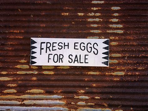fresh eggs sign/farmhouse style sign/trade sign/roadside sign/rustic sign/retro sign/hand 
