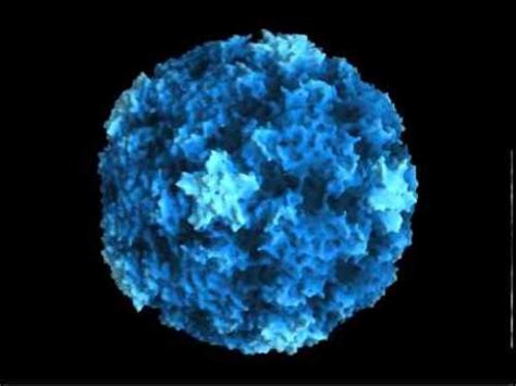 Efficacy of chlorpheniramine maleate treatment for rhinovirus colds. 10 Facts about Rhinovirus | Facts of World