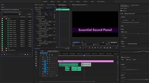 If you are new to adobe premiere pro platform then you may need to know how this text creation feature can be used. There are four audio types in Adobe's Essential Sound ...
