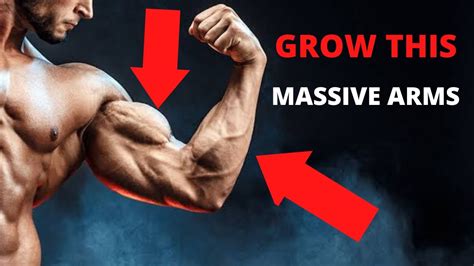 Best Tips To Grow Your Arms Fast Youtube
