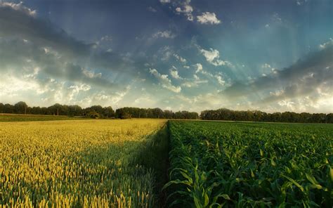 Landscapes Nature Fields Hdr Photography Crops Wallpaper 1920x1200