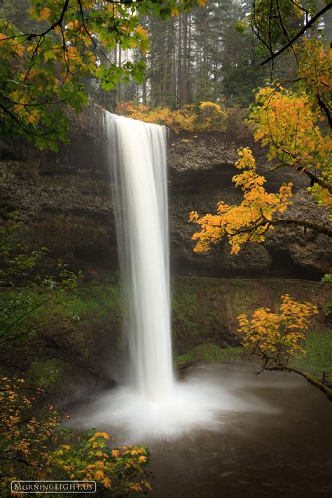 South Falls Autumn Silverfalls State Park Oregon Morning Light