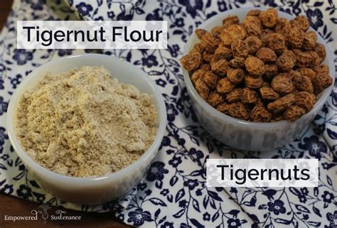 Introduction To Tigernut Flour Tigernut Flour Pancakes Recipe