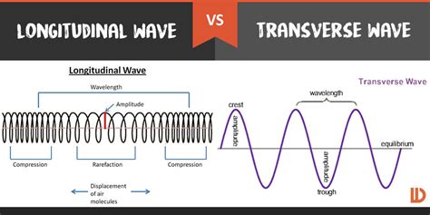 What Is The Difference Between A Longitudinal Wave And A Transverse