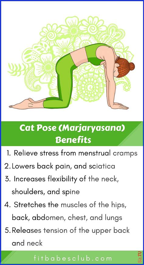 How To Do Cat Pose And Benefits Benefits Cat Pose Yoga Workout For