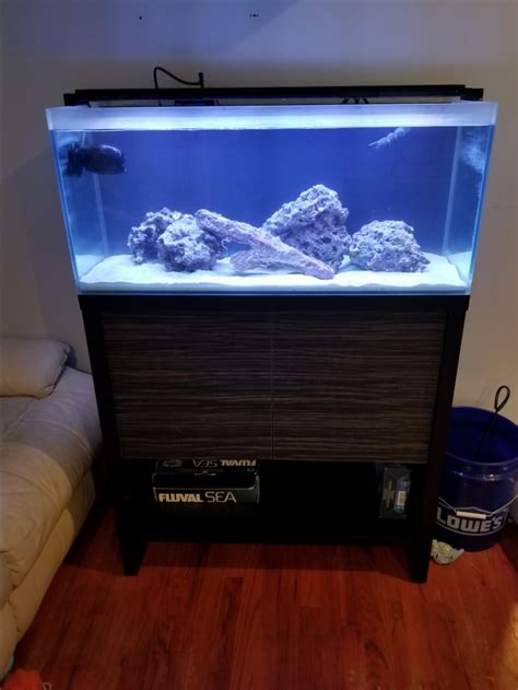 Aio Build Fluval M90 And 29 Gallon Biocube Builds Reef2reef