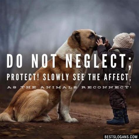 60 Catchy Save Animals And Wildlife Conservation Slogans In English