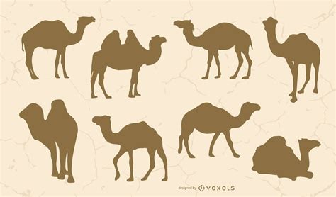 Camel Silhouette Set Vector Download