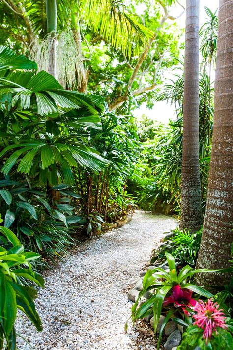 Tropical Backyard Landscaping Tropical Garden Design Landscaping With
