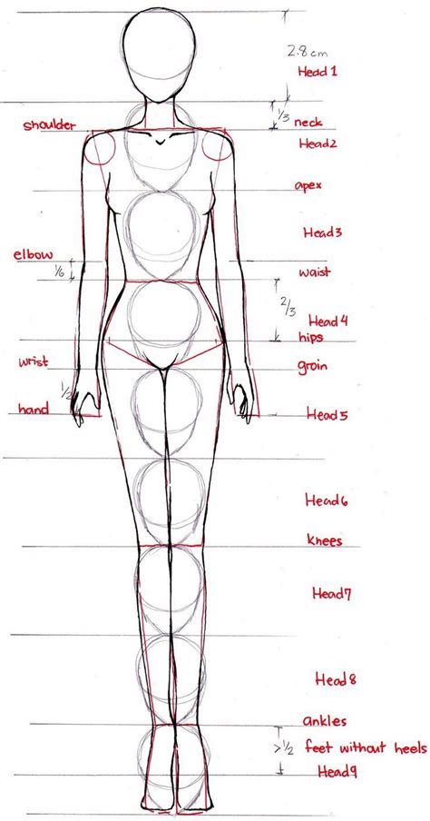 How To Draw Fashion Illustration Drawing The Figure For Fashion