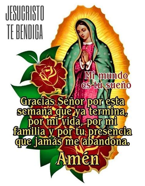 Im Genes De La Virgen De Guadalupe Bonitas