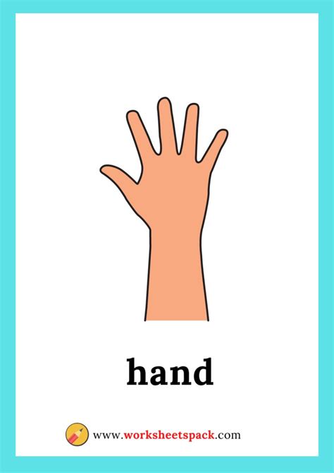 Body Parts Flashcards Printable And Online Worksheets Pack