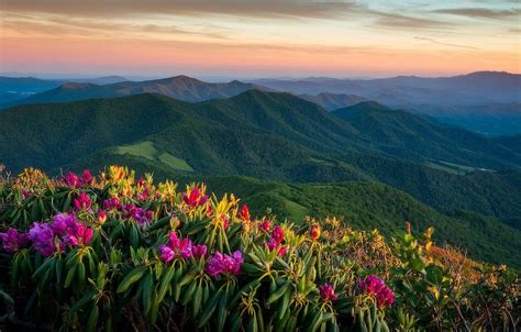 Appalachian Mountains Wallpapers Top Free Appalachian Mountains