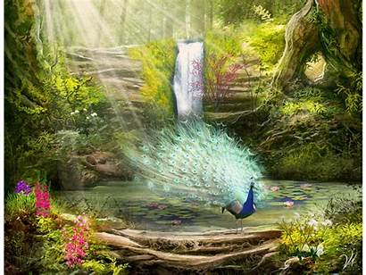 Peacock Lovely Place Wallpapers Fantasy Waterfall Desktop