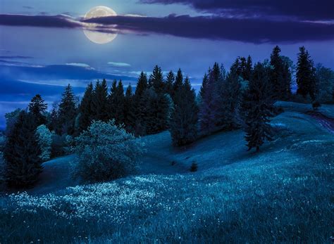 Full Moon On Winter Night Hd Wallpaper Background Image 2560x1879