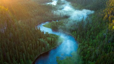 Aerial View Of Forest And River Landscape Hd Nature