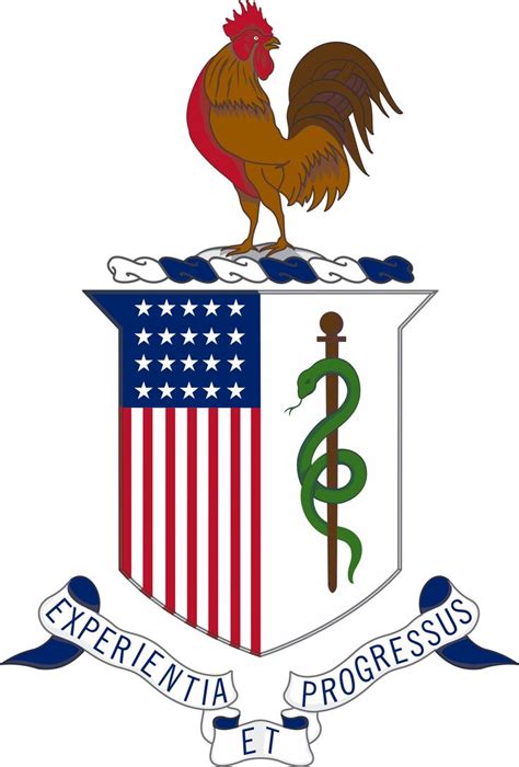 The New Army Medical Department Amedd Regimental Insignia Virin