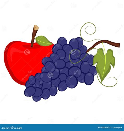 Apple And Grapes Stock Vector Illustration Of Freshness 105400923