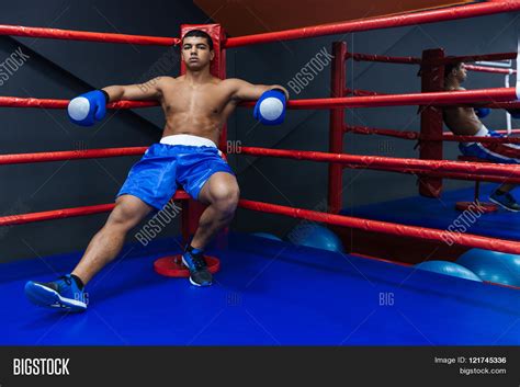 Boxer Resting Boxer Image Photo Free Trial Bigstock