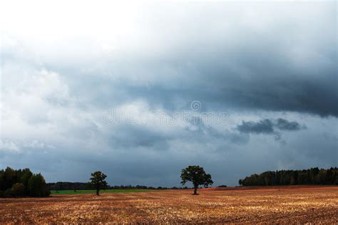 Autumn Sky Stock Photo Image Of Harvest Agriculture 26620678