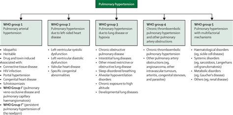 A Global View Of Pulmonary Hypertension The Lancet Respiratory Medicine