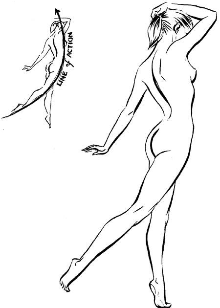 Women Human Body Drawing Female Body Drawing Stock Illustrations 32