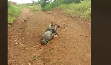 Man In Imo State Allegedly Killed By Fulani Herdsmen Emdee David Blog