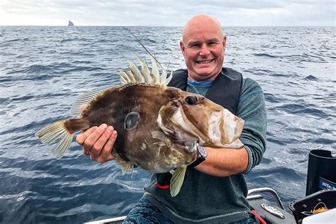 How To Catch John Dory The Fishing Website