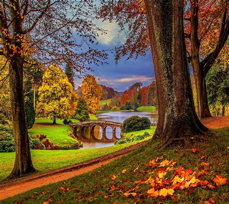 Autumn Park Amazing Leaves Nature Splendor Hd Wallpaper Peakpx