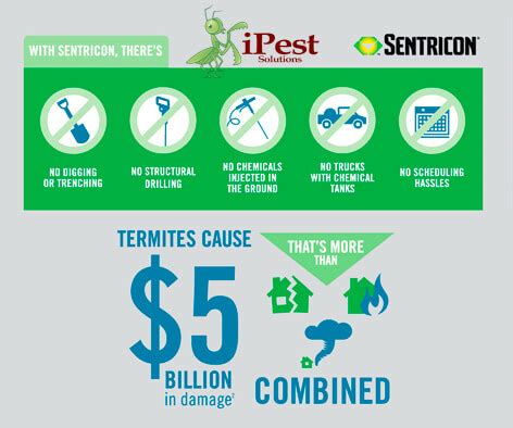 Abbott, aquilla, avalon, axtell, austin, barry, bartlett, belton, blooming grove, blum, brandon, bremond, bruceville. termite-control-ipest-waco