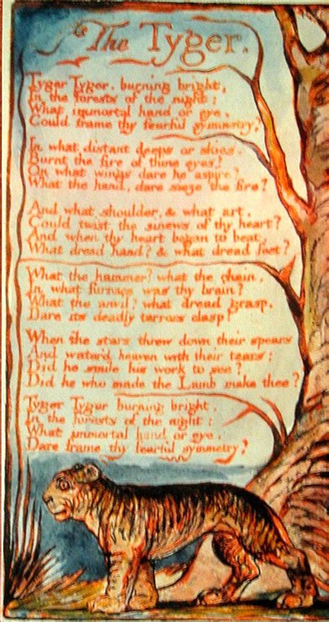 The Tyger Westcorkcollegewords William Blake Illustration Songs Of Innocence
