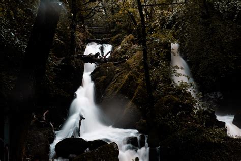 Ambleside Waterfall Walk Guide Stock Ghyll Force Averagelives