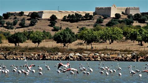 Book with ease today and save up to 40% off self catering accommodation in castro marim. Castro Marim | www.visitportugal.com