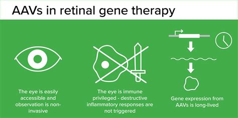 Aavs In Retinal Gene Therapy