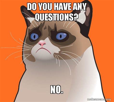 Do You Have Any Questions No Cartoon Grumpy Cat Make A Meme