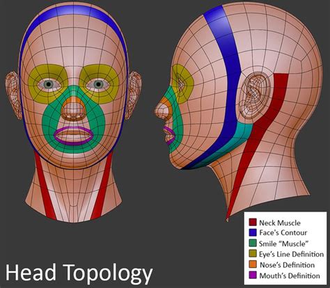 Does Everyone Have Different Face Topology Modeling Blender Artists Community