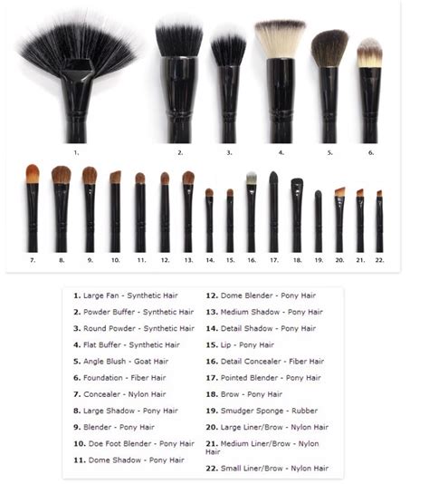 Makeup Brushes 101 Musely
