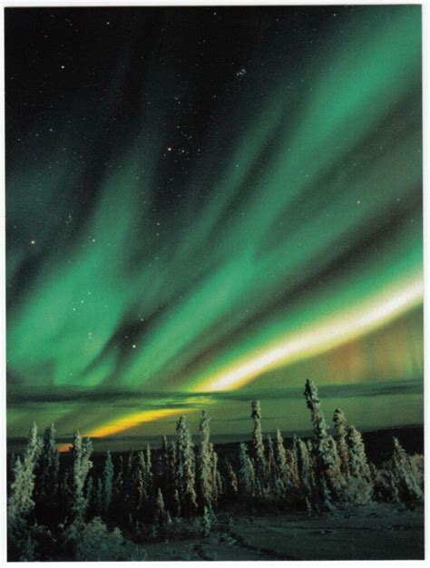 Postcard Aurora Borealis Northern Lights Yukon Canada