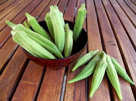 It is pleasant conversational reading, loaded with practical and very interesting info. Oh, Okra! • South Florida Gardening