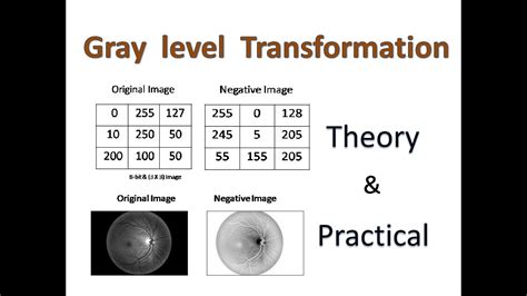 Gray Level Transformation Negative Transformation How Can Apply