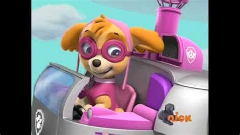 Paw Patrol Images Skye The Cockapoo Hd Wallpaper And Background Photos