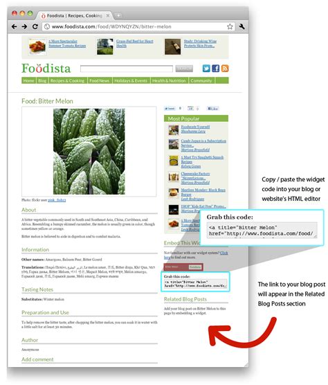 Foodista Recipes Cooking Tips And Food News Blogger Tools Widgets